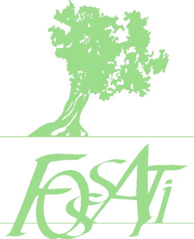 LOGO FOSSATI